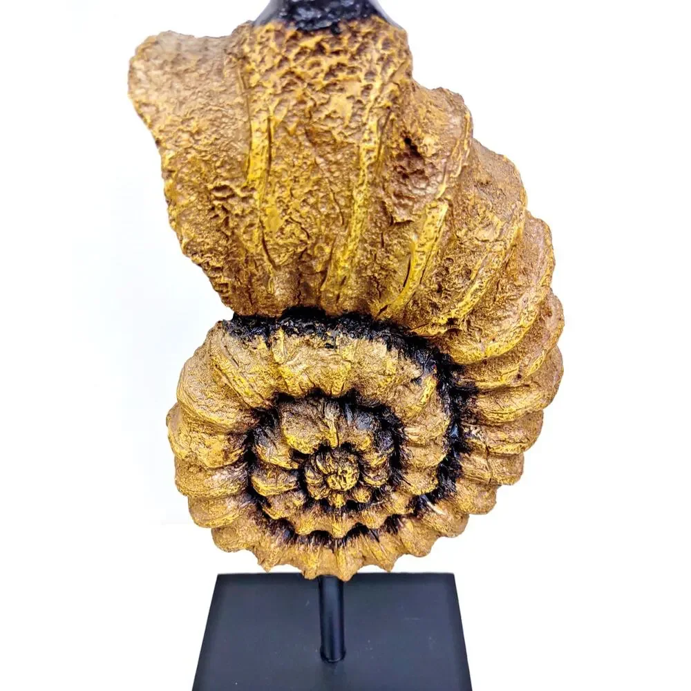 Vintage Nautical Sculpted Conch Shell Pillar Candle Holder 18